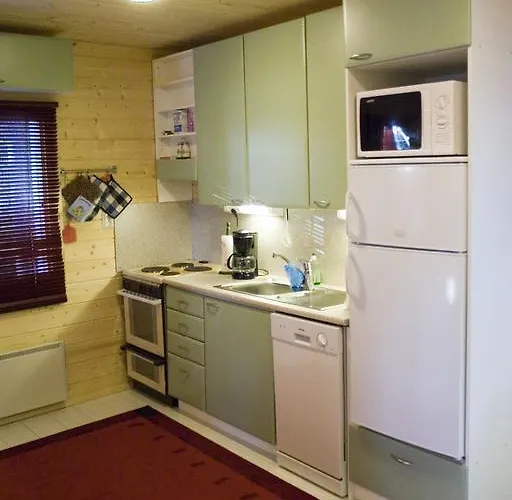 Vanha Vaeaetaenen 木屋 *